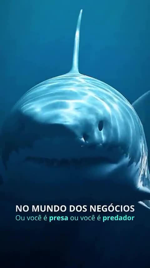 Prévia do vídeo central